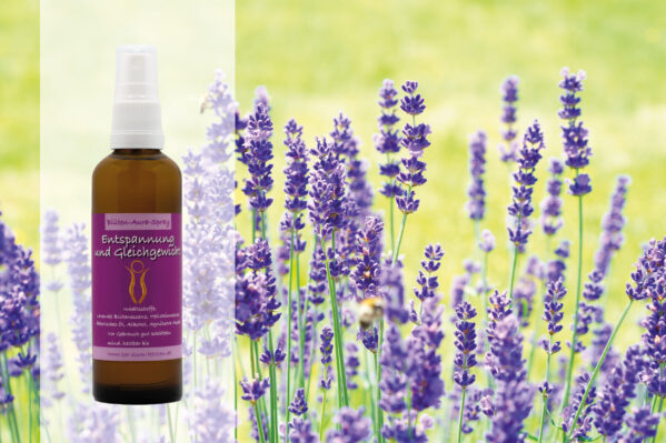 Lavendel